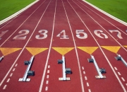 开云体育app-当斯台普斯的钟声撞向盐湖城，2026世界杯的异乡人与快船撕裂爵士的唯一史诗