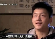 开云体育登录-英格兰队轻取瑞典队，樊振东刷新纪录