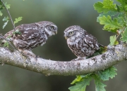 开云体育直播-双城记，NBA总决赛的窒息时刻与拉齐奥的末节风暴