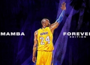 开云体育APP下载-里程碑之夜，米切尔率上海队力克灰熊，书写历史新篇章