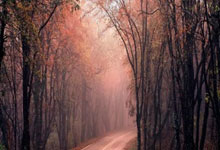 开云体育平台APP-英格兰队轻取韩国队，波尔状态火热