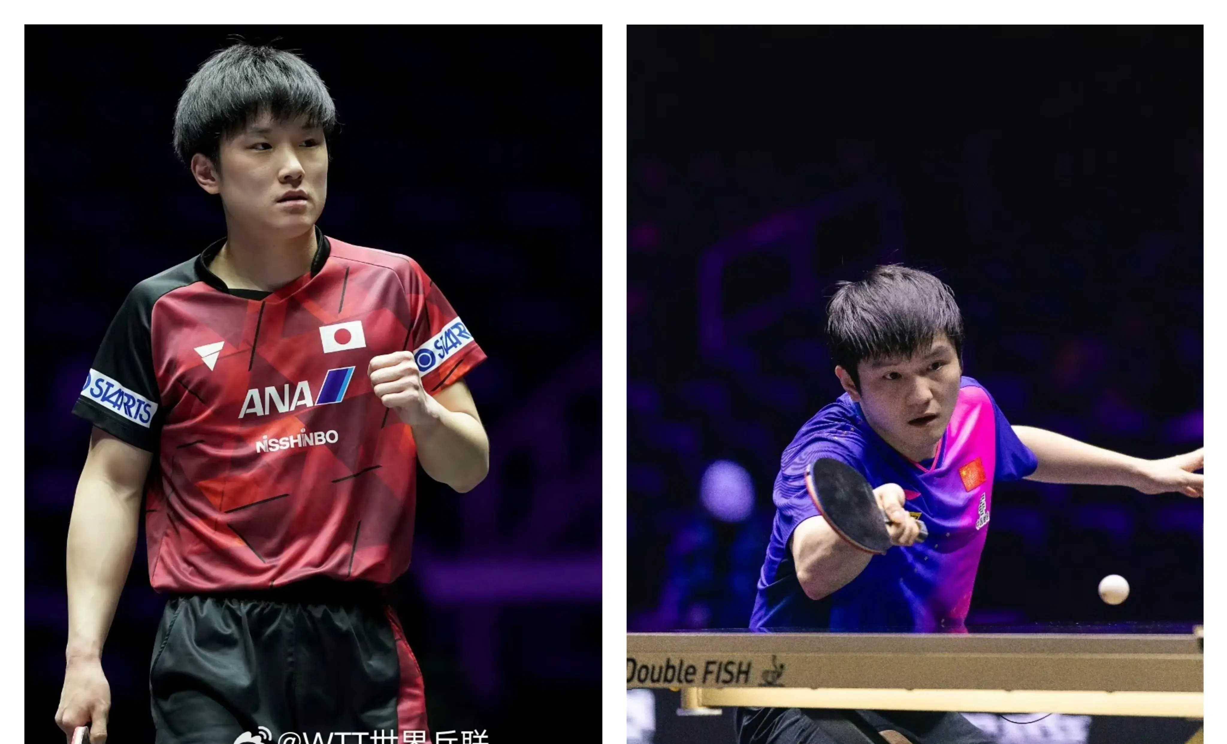 包含奥地利乒乓球队鏖战中国乒乓球队，张本智和关键制胜的词条