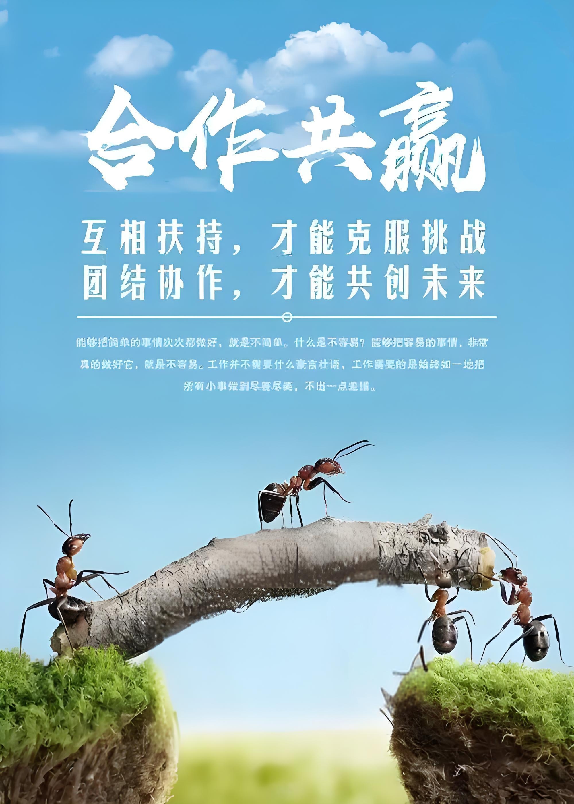 众志成城的团队精神令人动容 众志成城的团队精神令人动容