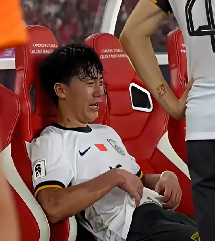 汉诺威在国内联赛中获得胜利 汉诺威在国内联赛中获得胜利