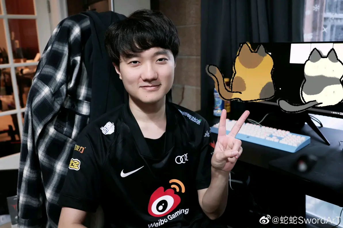 WBG强势FNC，SwordArt高光表现的简单介绍