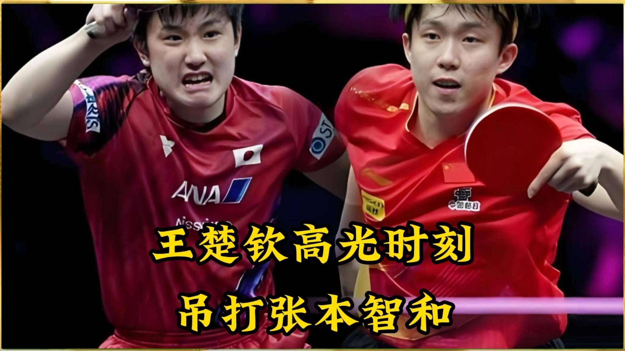 关于中国队轻取波兰队，张本智和关键制胜的信息